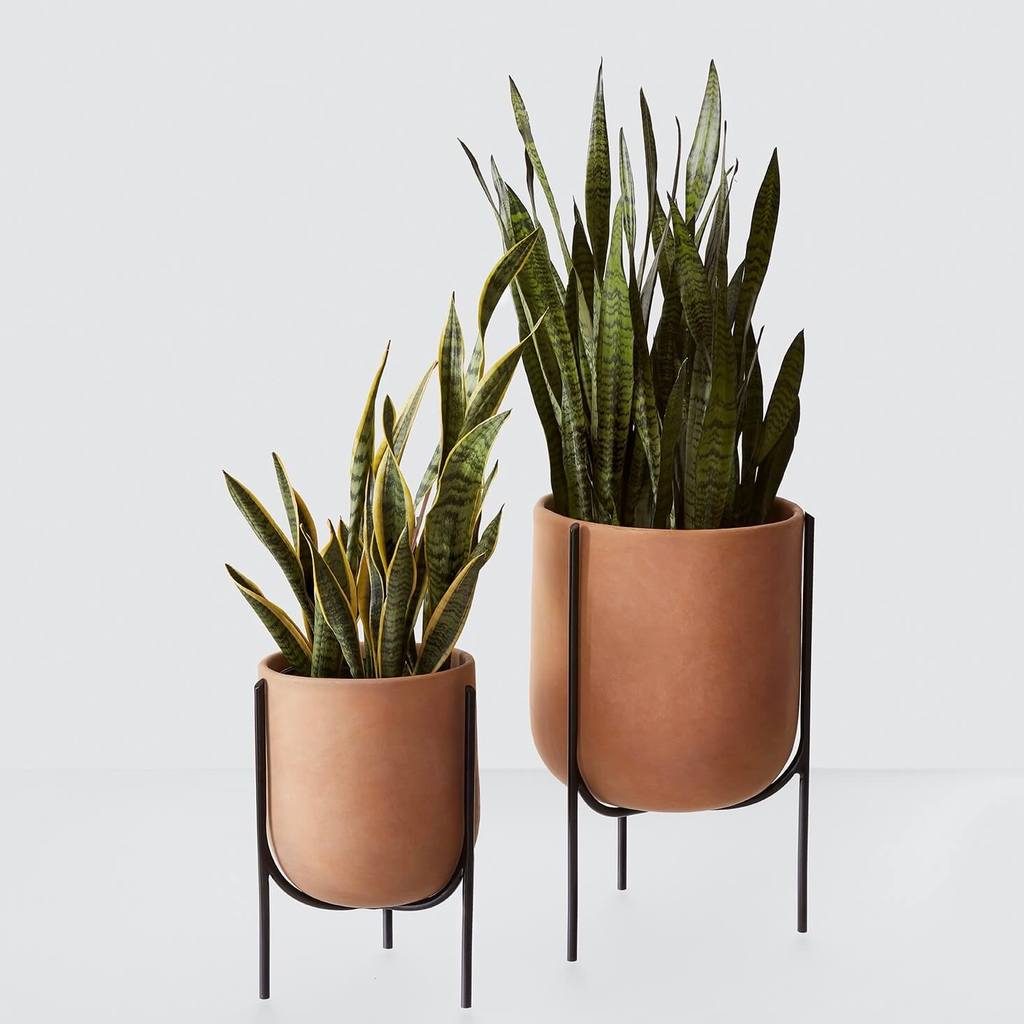 Citizenry Centaro Modern Clay Planters